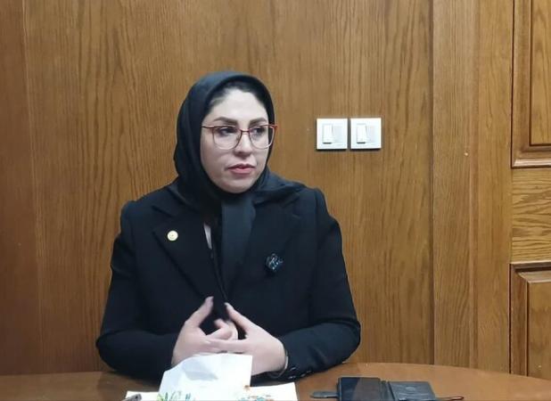 کیانی نژاد: ثبت جهانی هنر زنان کلید گشایش درهای تجارت بین الملل است