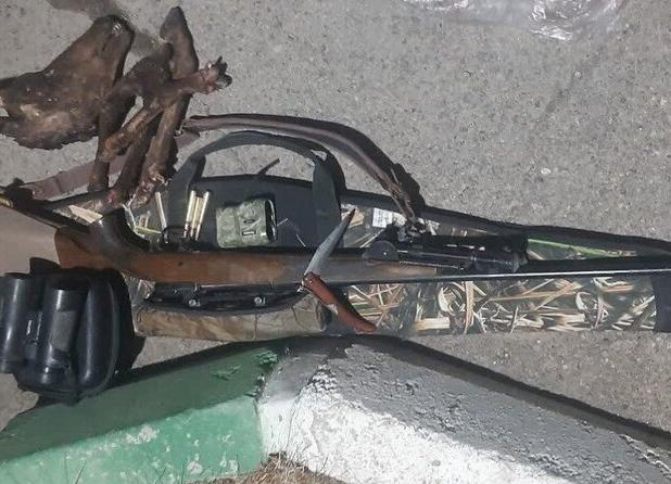 دستگیری شکارچی در پارک ملی صیدوا؛ گوسفند وحشی ماده شکار شد