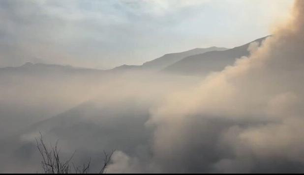 رئیس منابع طبیعی کشور: طبق برآورد میدانی و تصاویر ماهواره‌ای ۸ هکتار جنگل الیت درگیر آتش‌سوزی است