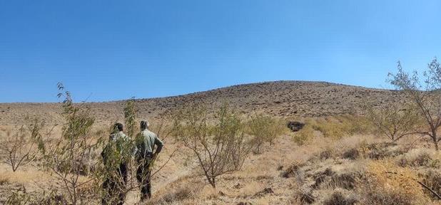 از رفع تصرف از اراضی ملی تا هشدار به برداشت‌کنندگان غیرمجاز شیرین‌بیان