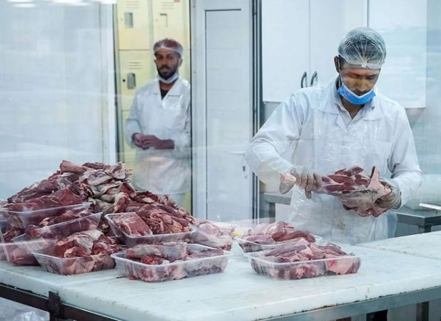 ماجرای جنجالی واردات گوشت‌‌ آلوده از مغولستان