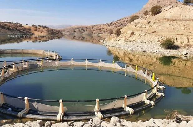 سد کشاورزی مجن ظرفیتی برای شیلات؛ شرایط میدانی بررسی شد