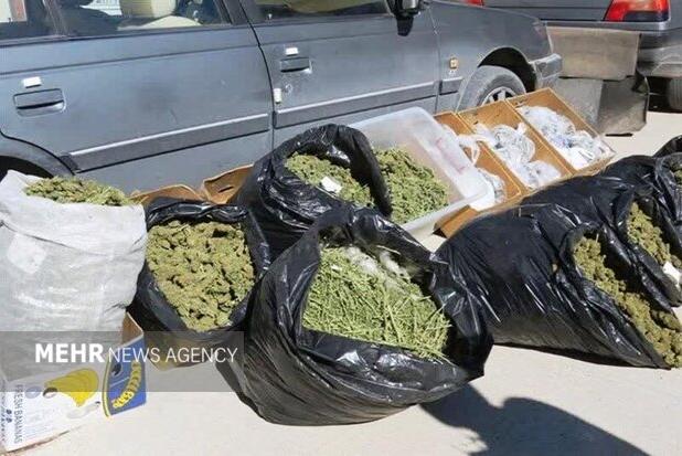 ۱۸۱ کیلوگرم ماری جوانا در لالی کشف شد