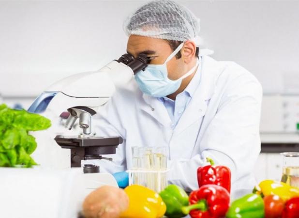 ساخت نانوحسگری که سلامت غذا را در ۱۵ دقیقه آزمایش می‌کند