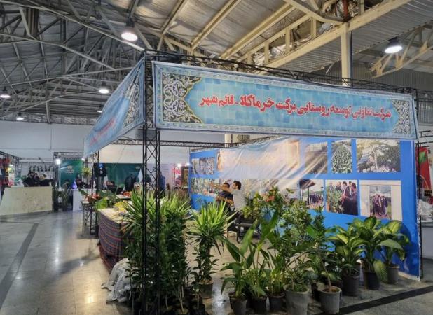 صادق نژاد: ۵۰۰۰ شغل روستایی در مازندران ایجاد شده است