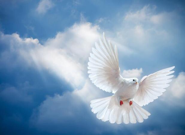 مادر شهیدان قطبی پس از سال‌ها صبر به فرزندان شهیدش پیوست