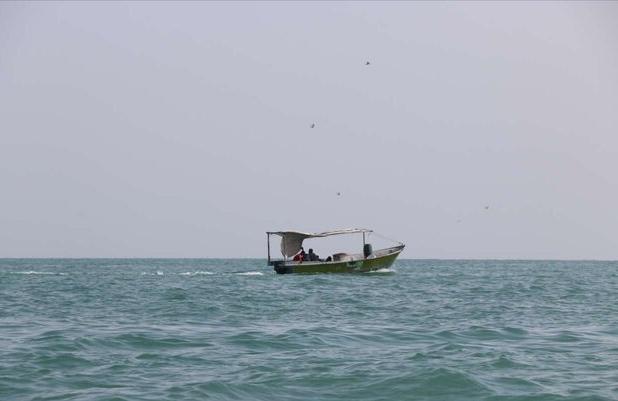 وزش باد شمال‌شرقی و غبار محلی در سواحل و جزایر هرمزگان