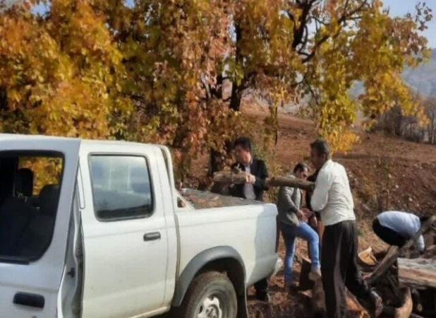 کشف و ضبط ۳۰۰ کیلوگرم چوب بلوط قاچاق در روستای آلمانه