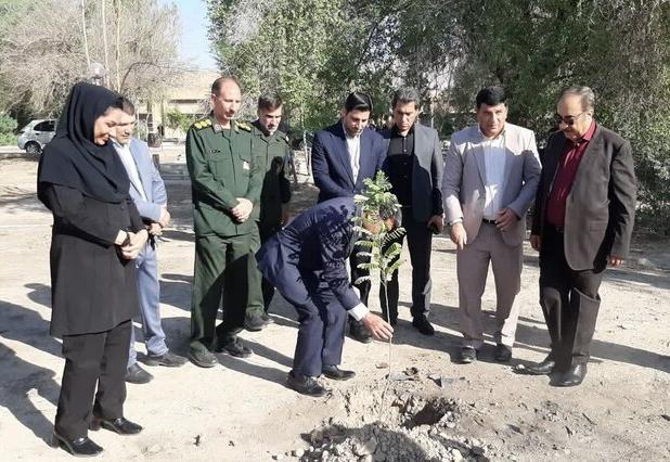 نهال سلامت در بیمارستان شهدای دهلران به مناسبت روز پرستار کاشت شد