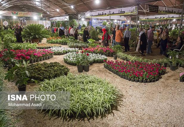 شیراز، میزبان نمایشگاه ملی گل و گیاه