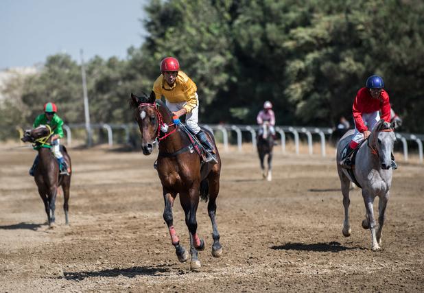 معرفی برترین‌های مسابقات کورس سوارکاری پائیزه کشور در گنبدکاووس