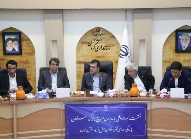 تصویب ۲ هزار میلیارد تومان اعتبار مالیاتی برای اکوسیستم فناوری کرمان