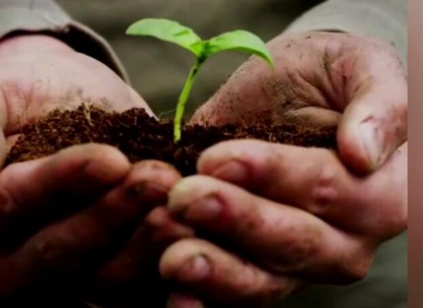 نقش جوانی جمعیت در جامعه