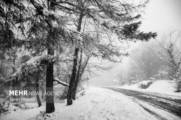 مرادی: بارش شدید برف در ۷ محور گیلان؛ تردد جریان دارد
