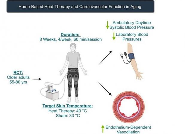 شلوار داغ فشار خون را کاهش می دهد!