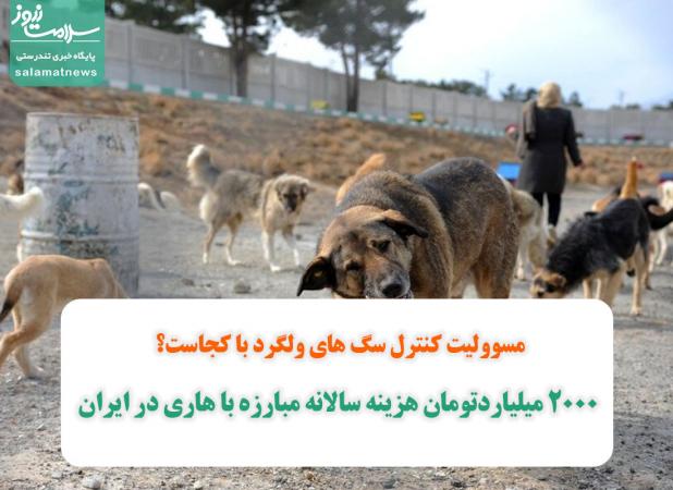 2000 میلیاردتومان هزینه سالانه مبارزه با هاری در ایران/مسوولیت کنترل سگ های ولگرد با کجاست؟