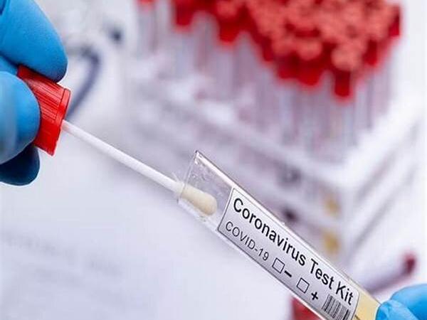 جولان کرونا در تیم ملی ایران/ برد برابراردن بدون حضور مربیان