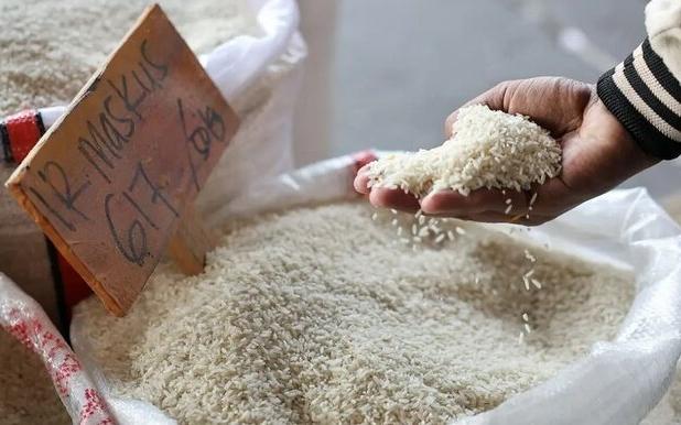 تزریق برنج دولتی به بازار ایلام/ تلاش برای مهار قیمت‌ها و آرام‌سازی بازار