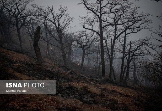 آتش‌سوزی جنگل‌های الیت مهار شده است