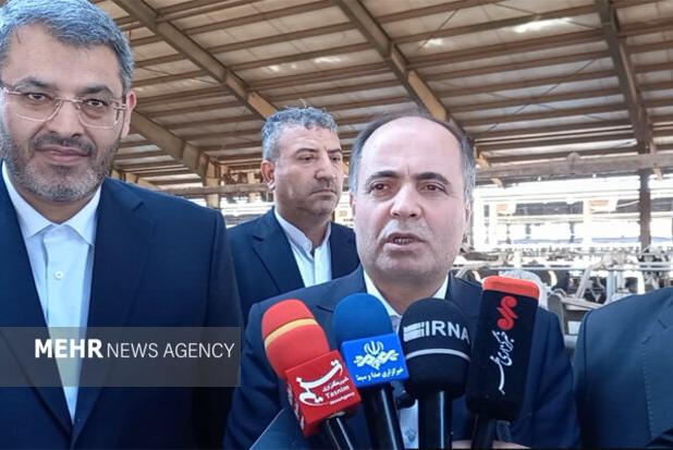 وزیر جهاد: واردات ۲۰۰ هزار تُن گوشت قرمز در دستور حذف است