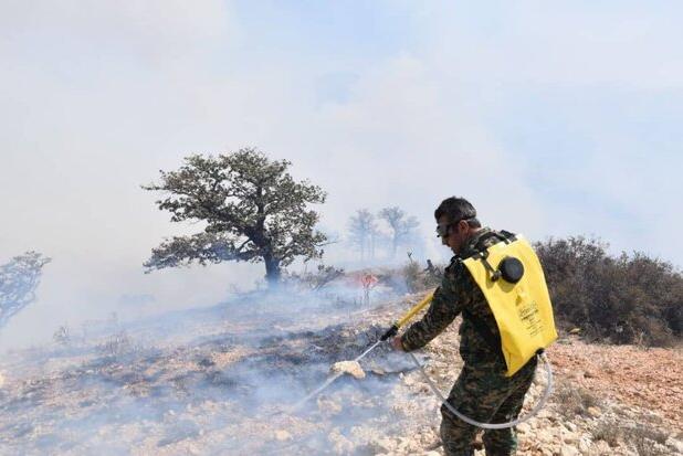 جنگل‌های سه منطقه در مریوان طعمه آتش شد
