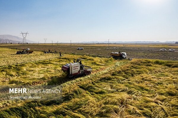 رهنما:زمین اهدایی خیر فاروجی صرف تأمین تجهیزات ضروری بیمارستانی می‌شود