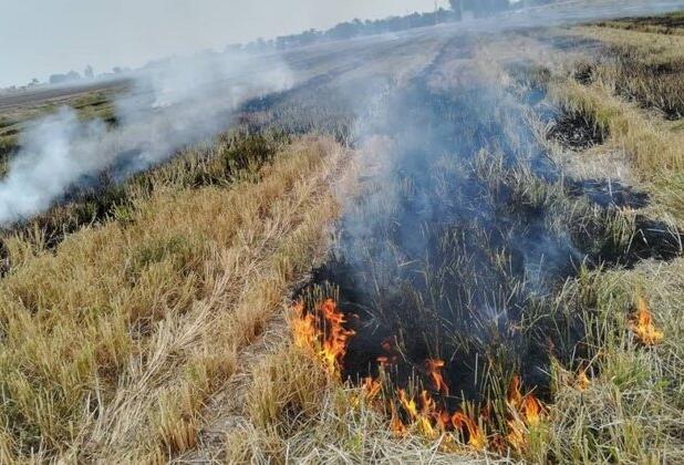 آلودگی از خاک تا آسمان؛ ضرورت توقف آتش‌سوزی‌های کشاورزی در خوزستان