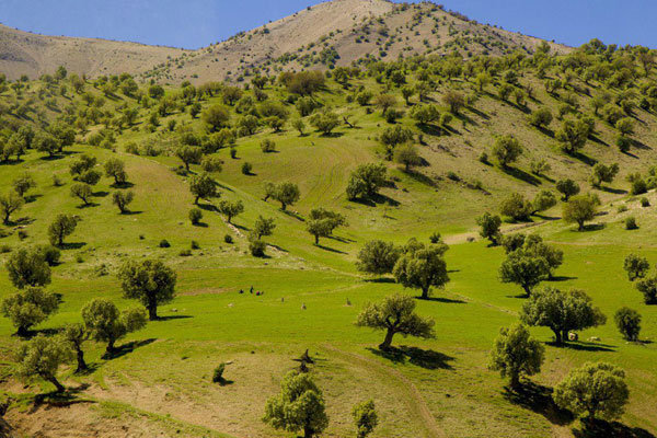 تصاویر هوایی جاذبه های گردشگری شهرستان بدره