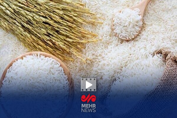 علت افزایش قیمت برنج چه بود؟