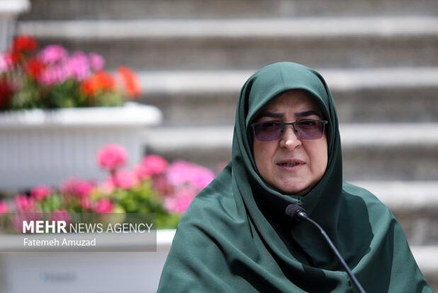 مهاجرانی: توجه دولت بر این است که اتباع غیر مجاز را برگرداند