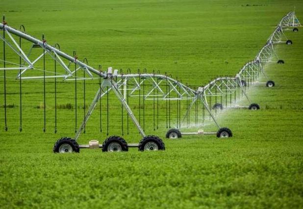 سرپرست جهادکشاورزی فارس: حرکت به سمت کشت‌های کم‌آب‌بر یک الزام است نه انتخاب