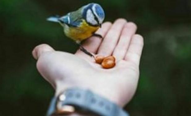 آیا مدارا ما را خوشبخت می‌کند؟