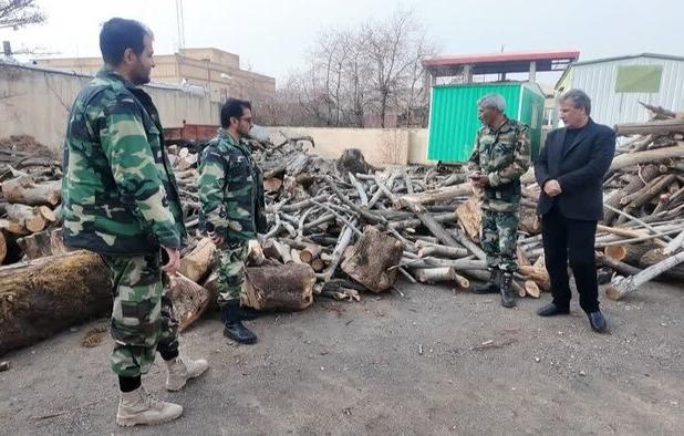 دستگیری قاچاقچی قطع درختان راش در جنگل‌های هیرکانی