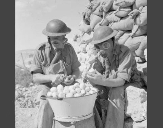 ۱۰ عکس عجیب و خنده‌داری که هرگز در زندگیتان ندیده‌اید