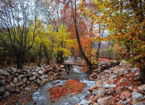 رویداد عکاسی «پاییز هزار رنگ» در شهر صحنه برگزار می‌شود