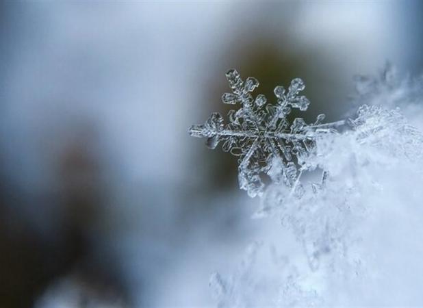 هواشناسی ایران۱۴۰۳/۱۰/۳۰؛هشدار بارش برف و باران در ۲۶ استان