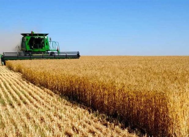 خرید تضمینی گندم از فردا آغاز می‌شود