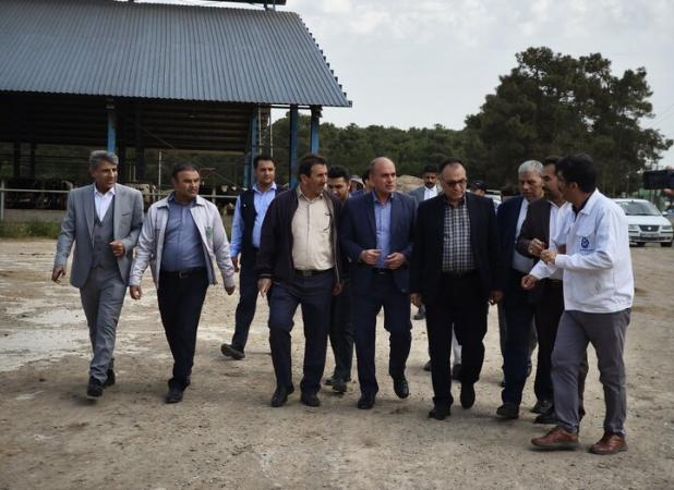 هدف دیوان محاسبات کمک به پیشبرد اهداف دستگاه‌های اجرایی است