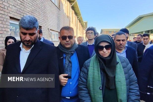 شینا انصاری: تجهیز صنایع چرمشهر به پیش‌تصفیه در اولویت محیط زیست