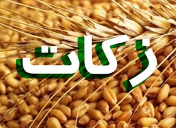 پویانی: ۳۰ طرح اشتغال زایی دامداری از محل زکات دام استان ایلام اجرا شد