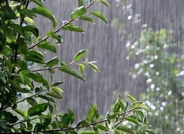 پیش بینی بارش باران در برخی نقاط خراسان رضوی