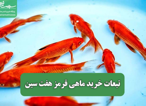 تبعات خرید ماهی قرمز هفت سین