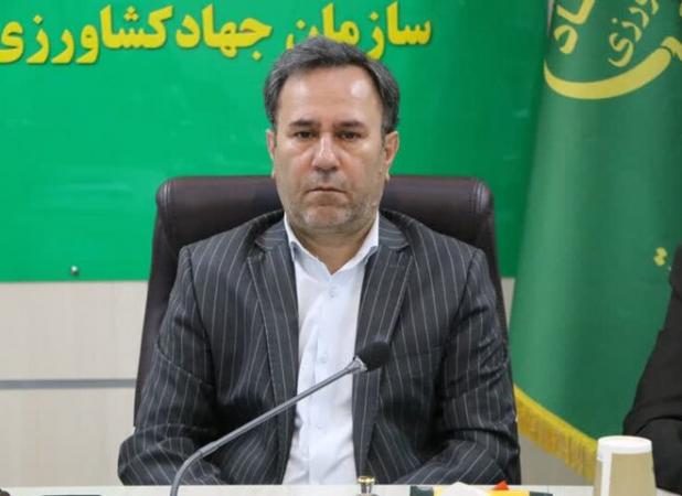 فعالیت ۶۲۰ واحد پرورش مرغ گوشتی در لرستان