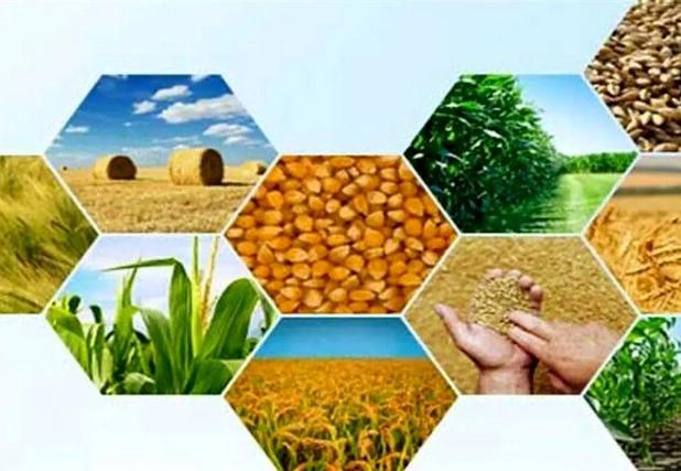 از تولید ۲۳۸ تن عسل در سوادکوه تا تولید شیرخام از دامداری‌های قائم‌شهر