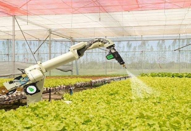 برداشت خودکار محصول در مزارع با هوش مصنوعی