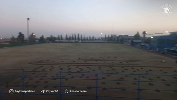 چمن یک ورزشگاه دیگر تهران زیر کشت رفت