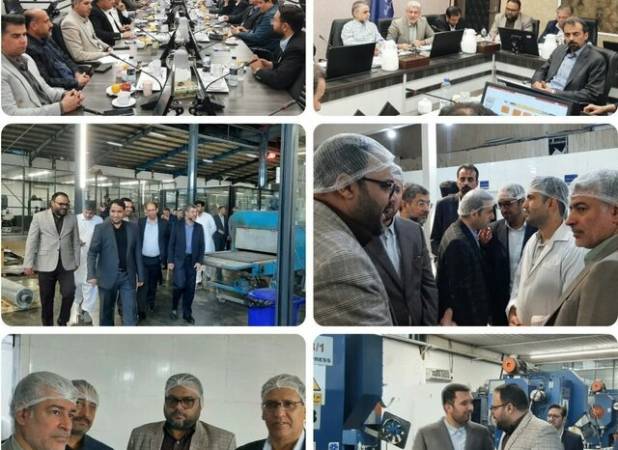 بازدید مدیران صنعت، معدن و تجارت منطقه ۵ کشور از واحدهای صنعتی کنارک
