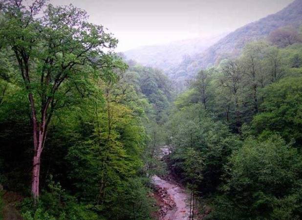 رویای جنگل‌های مازندران سبز می‌شود؛ ایجاد پایگاه اطفای هوایی حریق