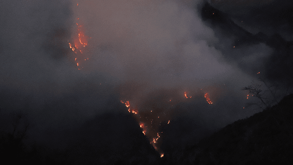 دهیار روستای بحران‌زده الیت چالوس بازداشت شد؟