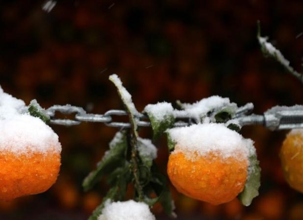 هواشناسی ایران ۱۴۰۲/۰۹/۲۷؛ هشدار فعالیت سامانه بارشی در ۷ استان/کاهش ۱۰ درجه‌ای دما در برخی مناطق کشور